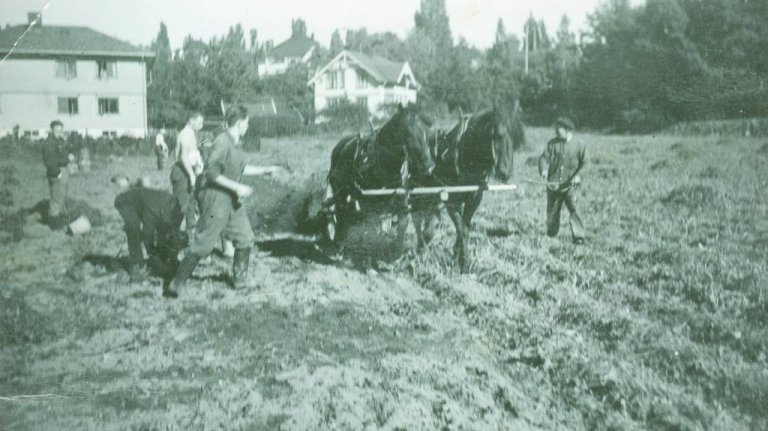 Helt frem til 1960-tallet var Diakonhjemmet omgitt av åkerland, og studentene måtte ta sin tørn under potethøst og høyonn.